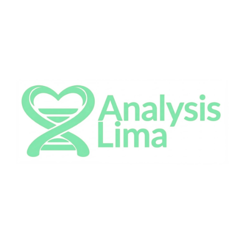 Analysis Lima Partner